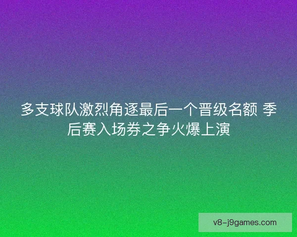 多支球队激烈角逐最后一个晋级名额 季后赛入场券之争火爆上演